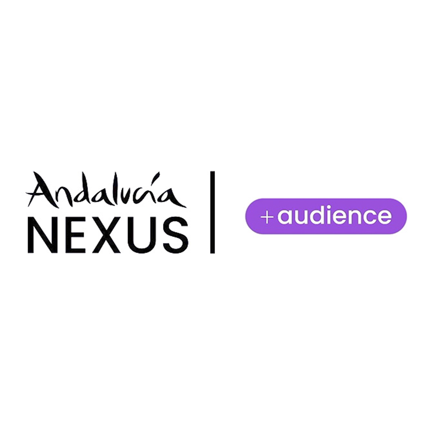 asesoria-audience